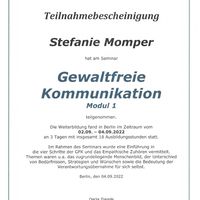 Gewaltfreie Kommunikation Modul 1 Teilnahmebescheinigung – Steffi Drewing